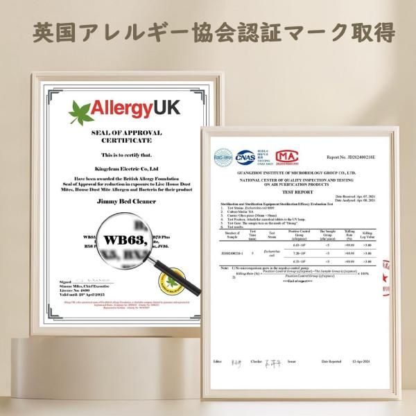 布団クリーナー 布団用掃除機 ダニ取り掃除機 ベット掃除機 ふとん用ダニクリーン UV除菌 15Kpa 420w ダニ駆除 超吸引55度温風 超高速たたき ダニ対策Jimmy 爆買 MARWIL-DEMENAGEMENTS_CH