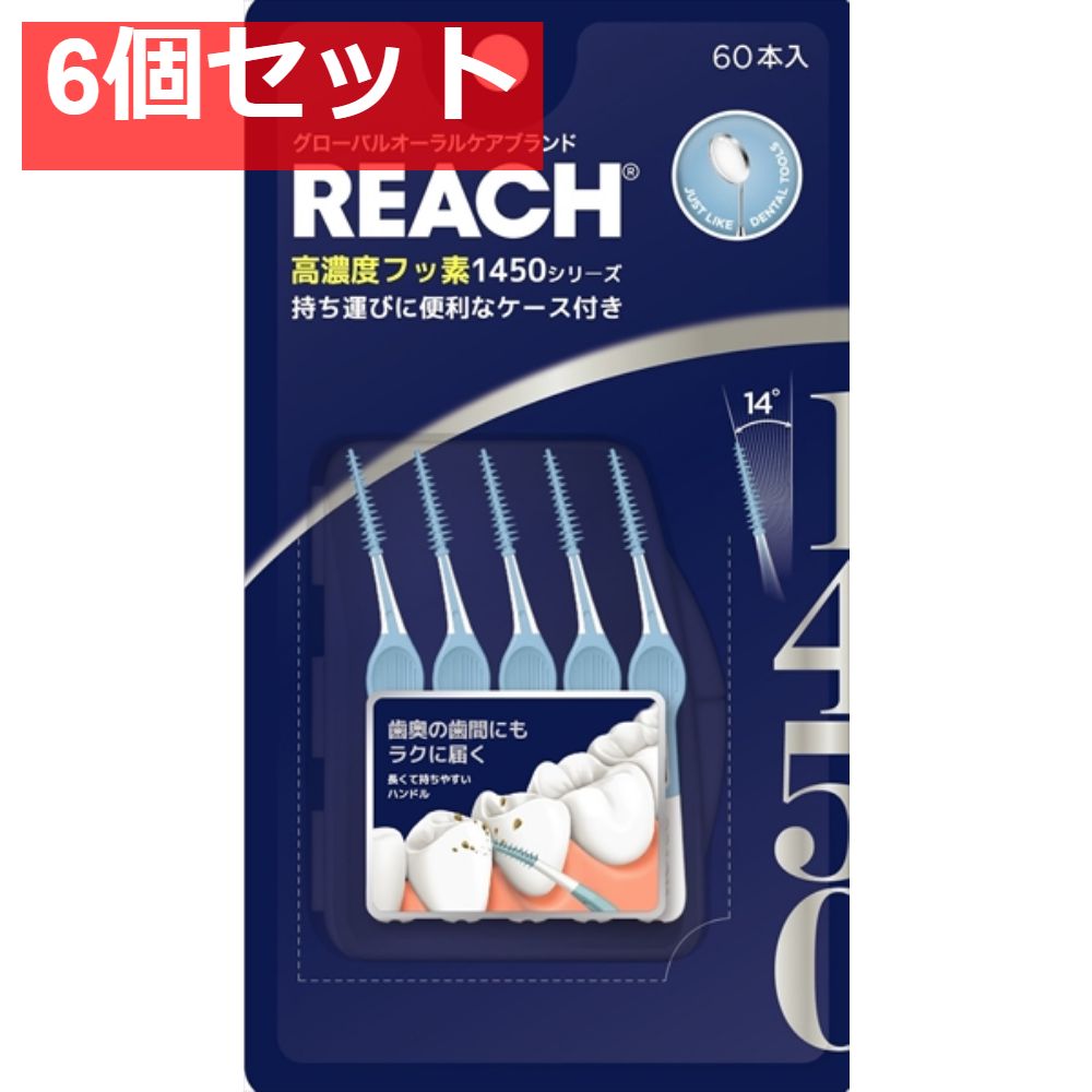 リーチ 1450 ゴム歯間ブラシ 6個セット まとめ売り