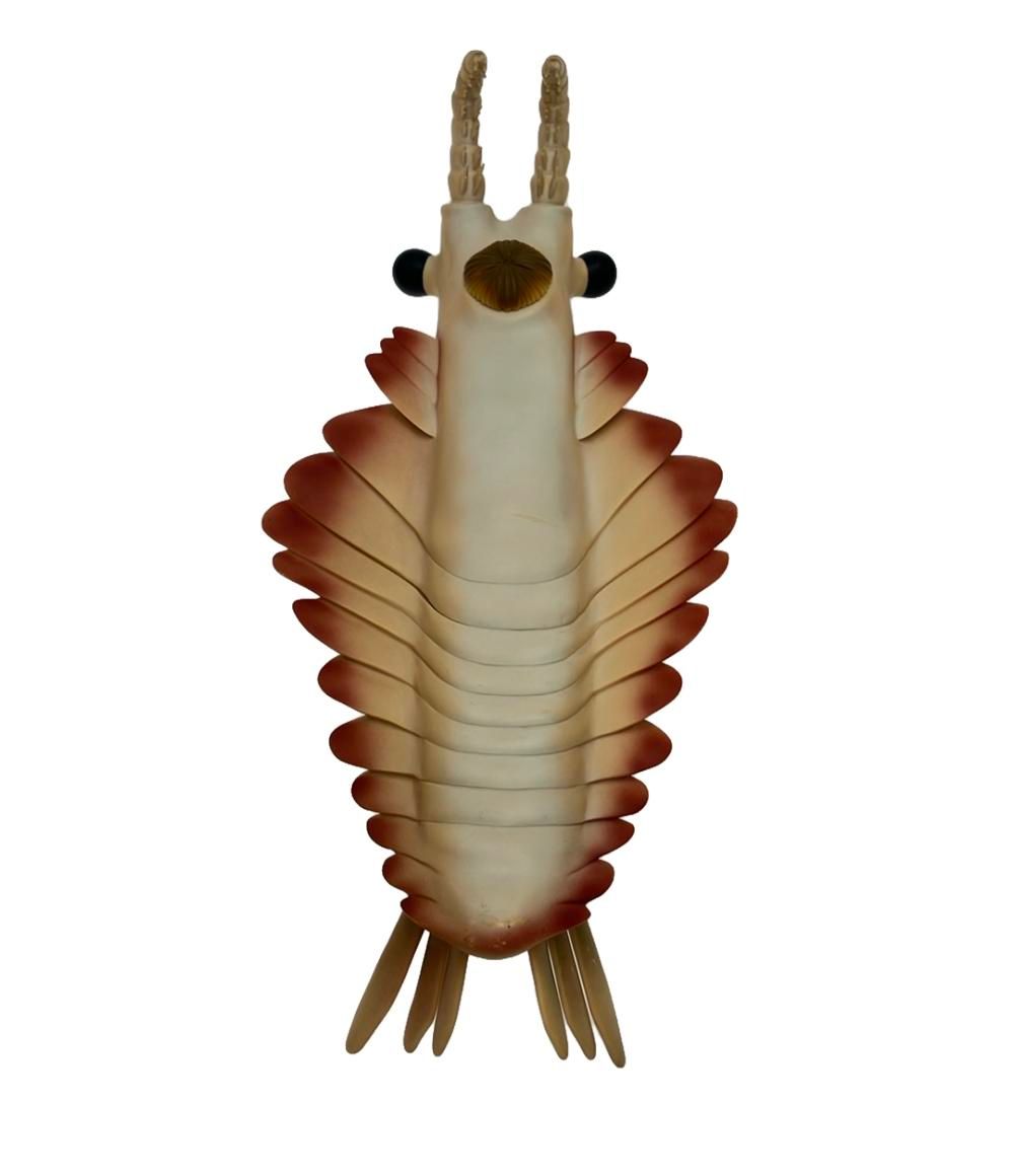 NHK フィギュア ソフビフィギュア NHK生命40億年はるかな旅