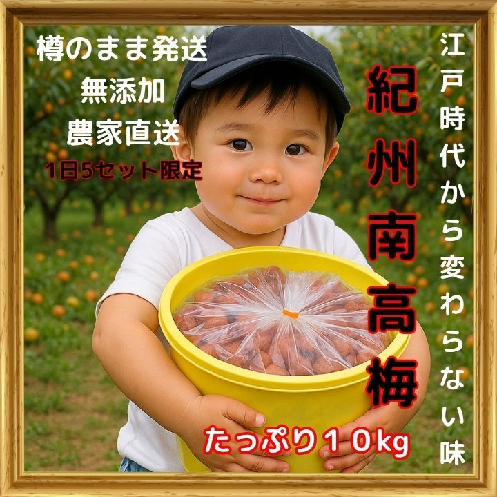 ●農家直送！紀州南高梅 樽 10000g つぶれ梅 無添加 和歌山 紀州 白梅 梅干し 10000g 紀州南高梅 和歌山 農家直送 つぶれ梅 無添加