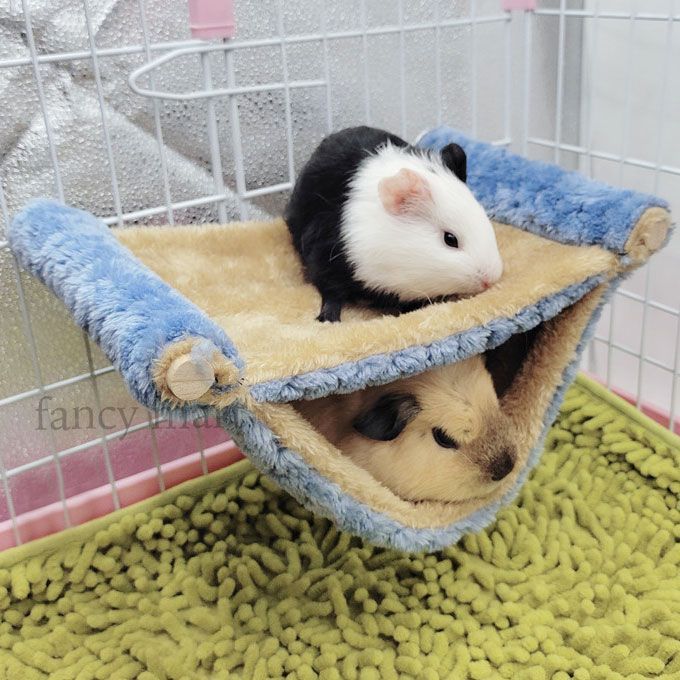 ペットの家ケージ❤️デグーハンモックモモンガ小動物用品⭐️ハムスターインコ鳥チンチラ ペットの家ケージ❤️ハムスター鳥チンチラインコデグー