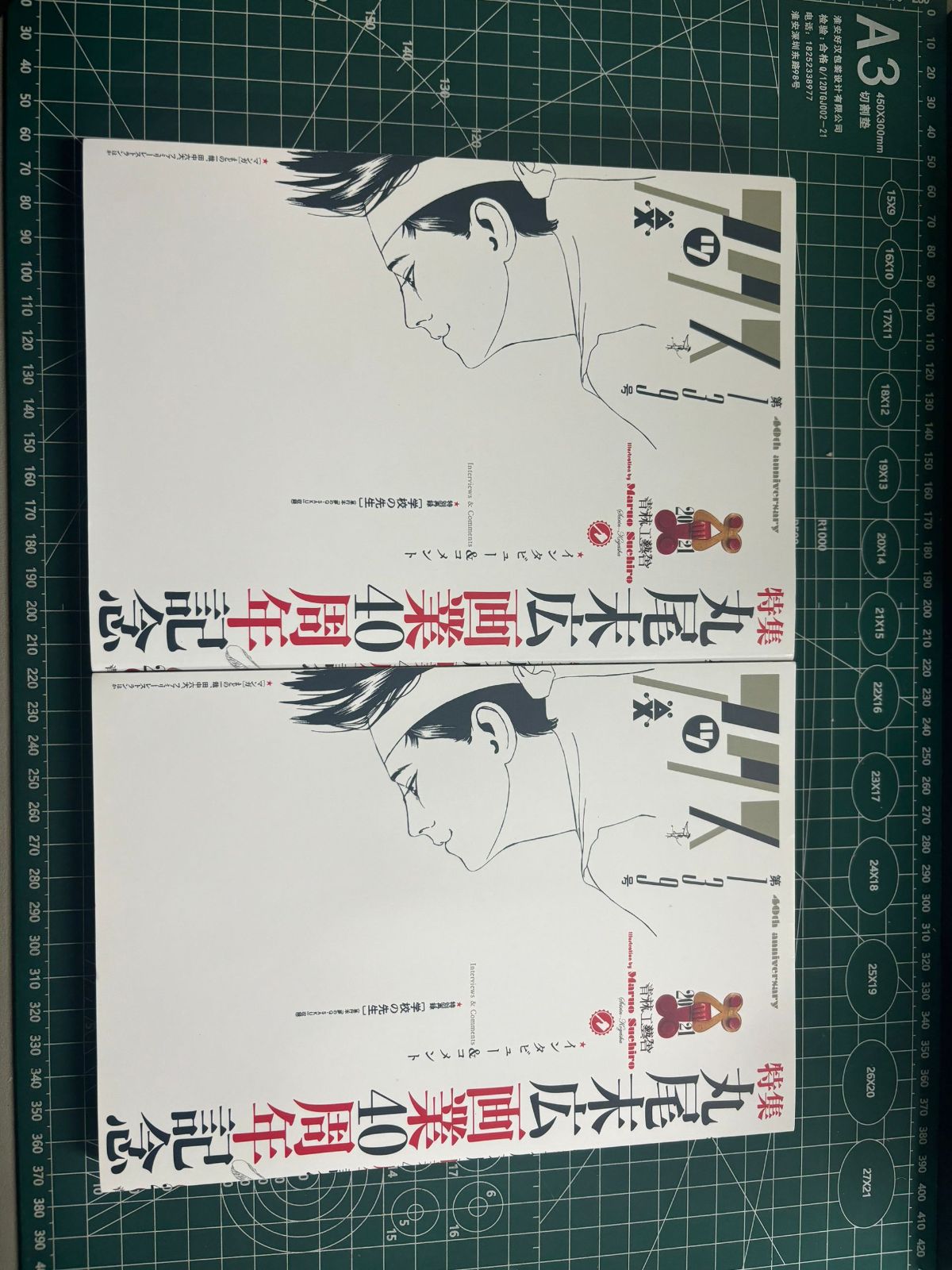 お値下げしました丸尾末広まとめ売り マルオボックス 丸尾末広（少女椿 改訂版 丸尾 末広）