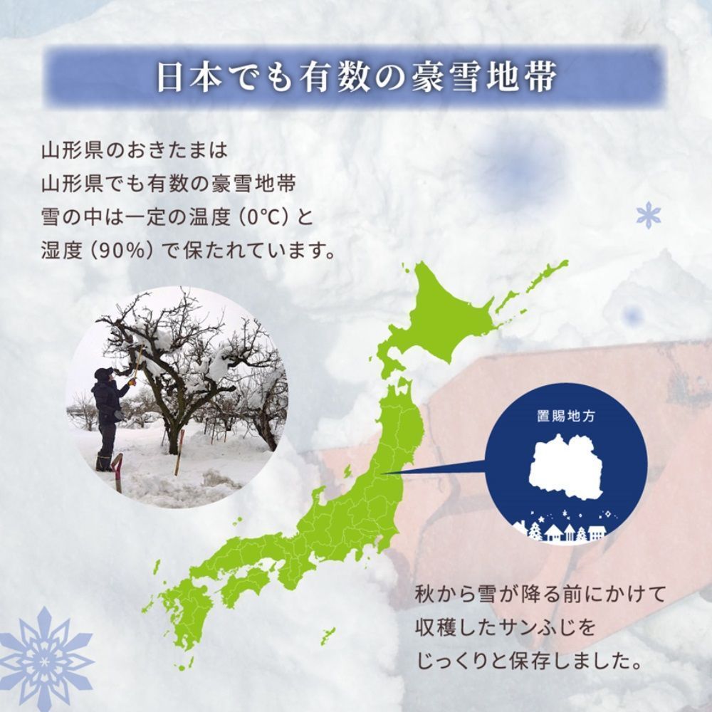 雪室りんご ご家庭用