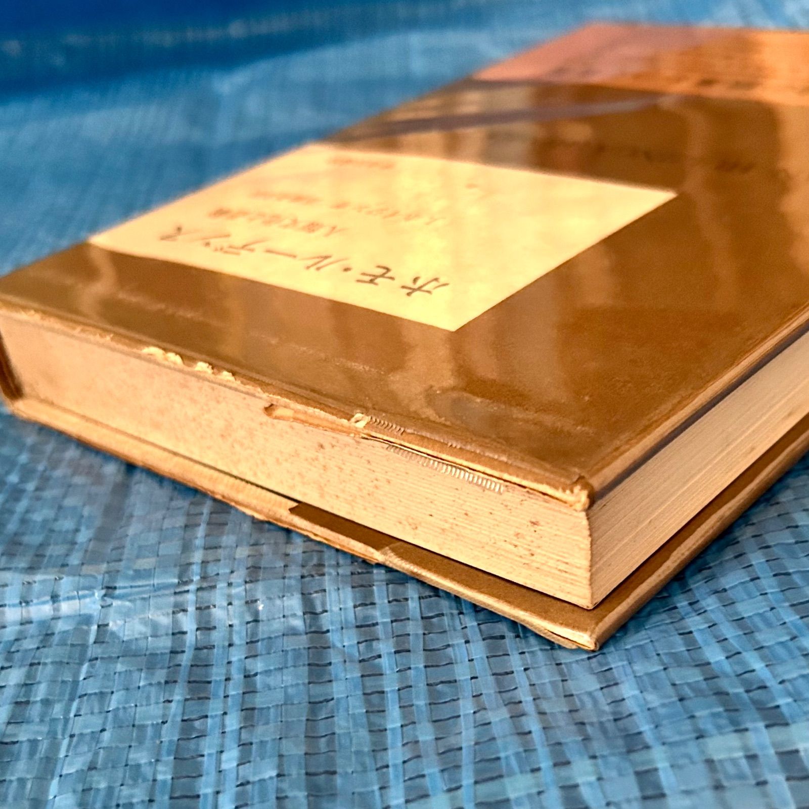 中世鷹書の文化伝承 中世鷹書の文化伝承