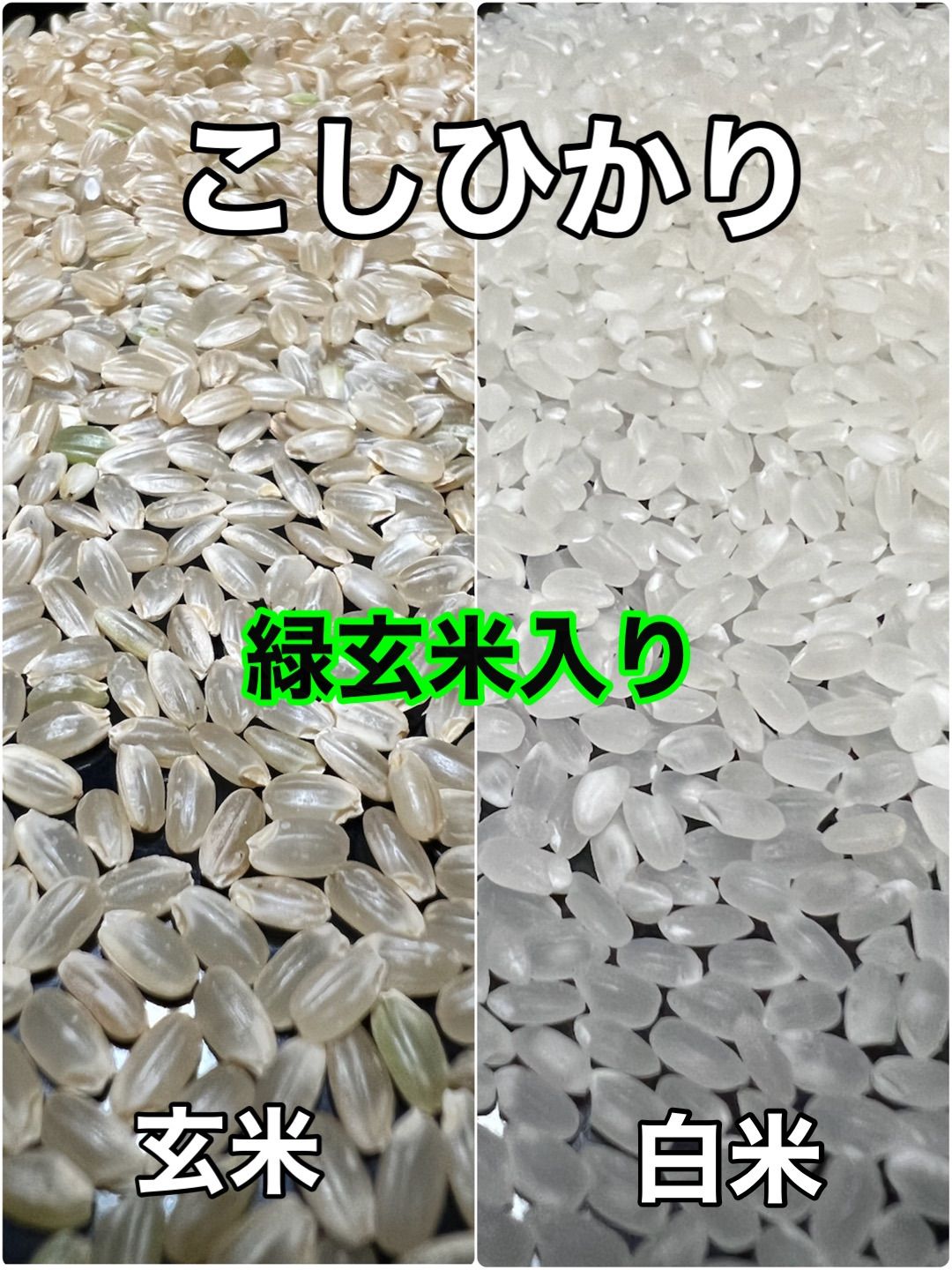 令和5年産コシヒカリ30キロ 玄米 無表情