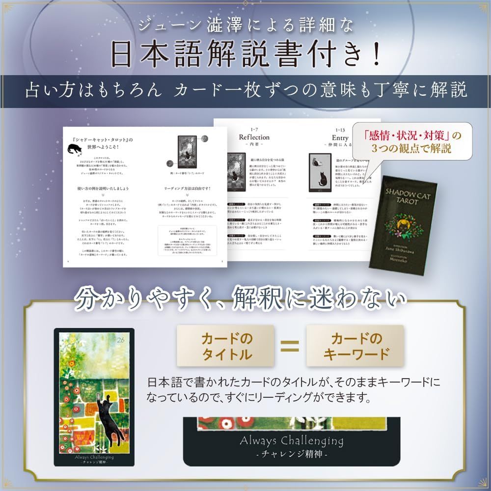 ジューン澁澤 監修】タロットカード ＆ すべらない タロット