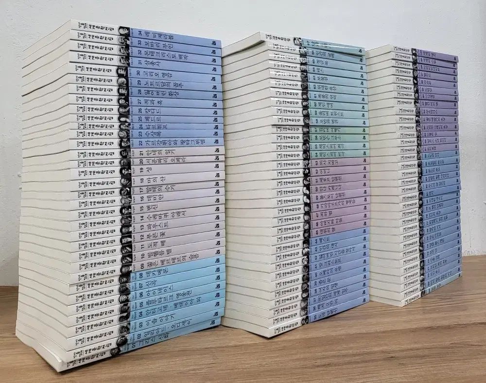 ソウル国立大学校選定 世界文学全集 1 ー 100 巻