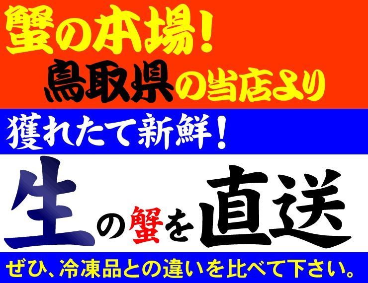 ☆活(生)セコガニ(親がに)訳あり【11月中旬～下旬以降出荷(90日以内に発送)】活(生)でお届け【冷蔵】大サイズ(180g程度が5枚入)蟹かにカニズワイガニ生1805