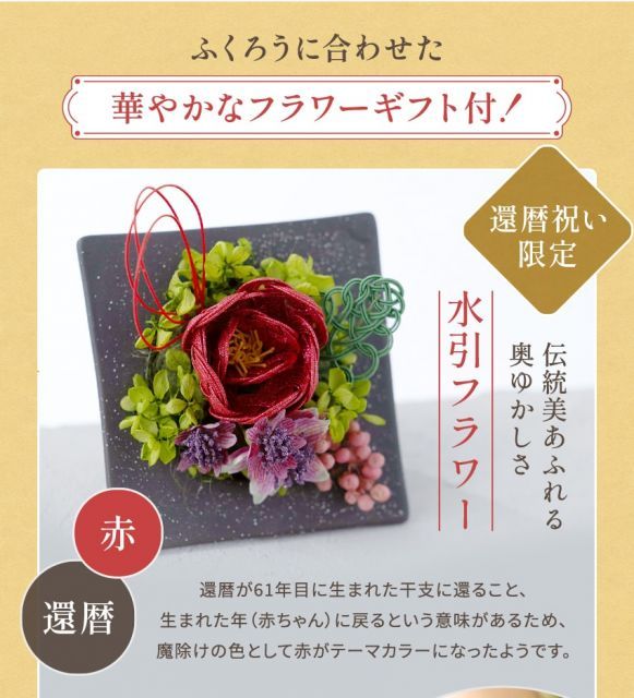 かわいい コンパクト