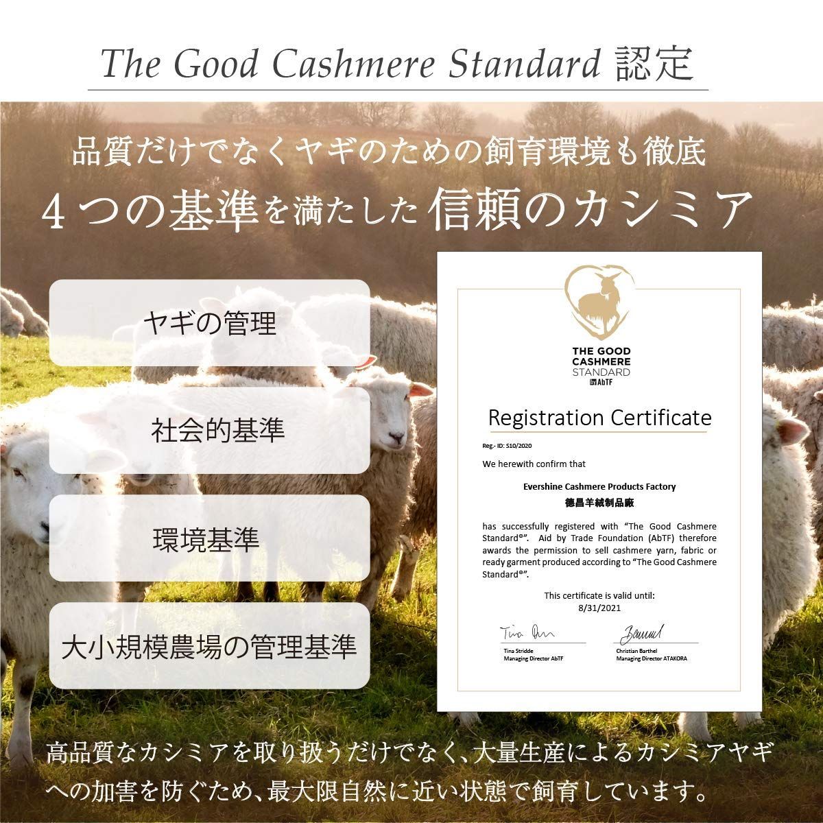 ギフト ホワイトデー