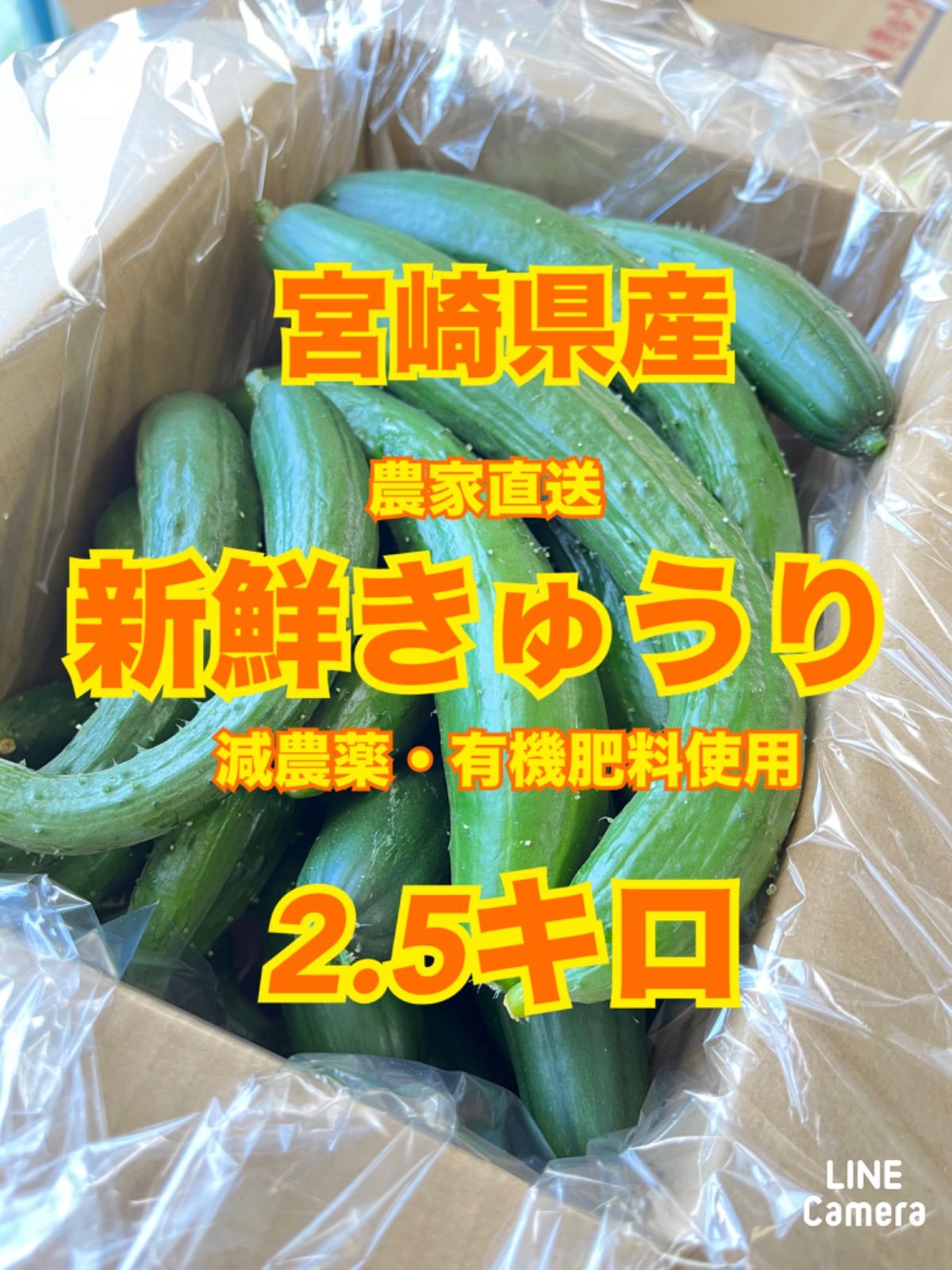 野菜 新鮮きゅうり 2.5キロ 宮崎県産 - メルカリ