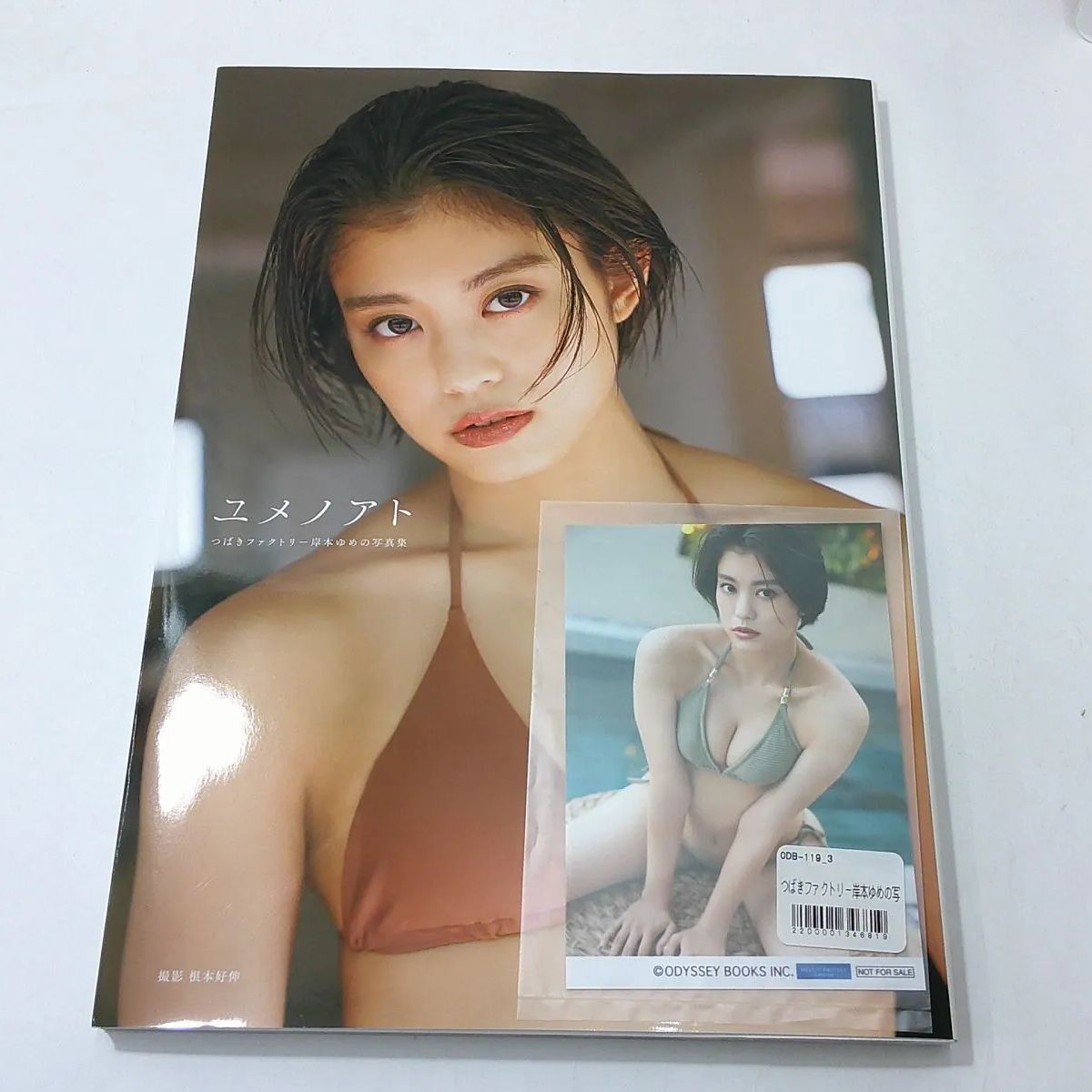 中古】<<ハロプロ>> DVD付)つばきファクトリー岸本ゆめの写真集 「ユメノアト」 - メルカリ