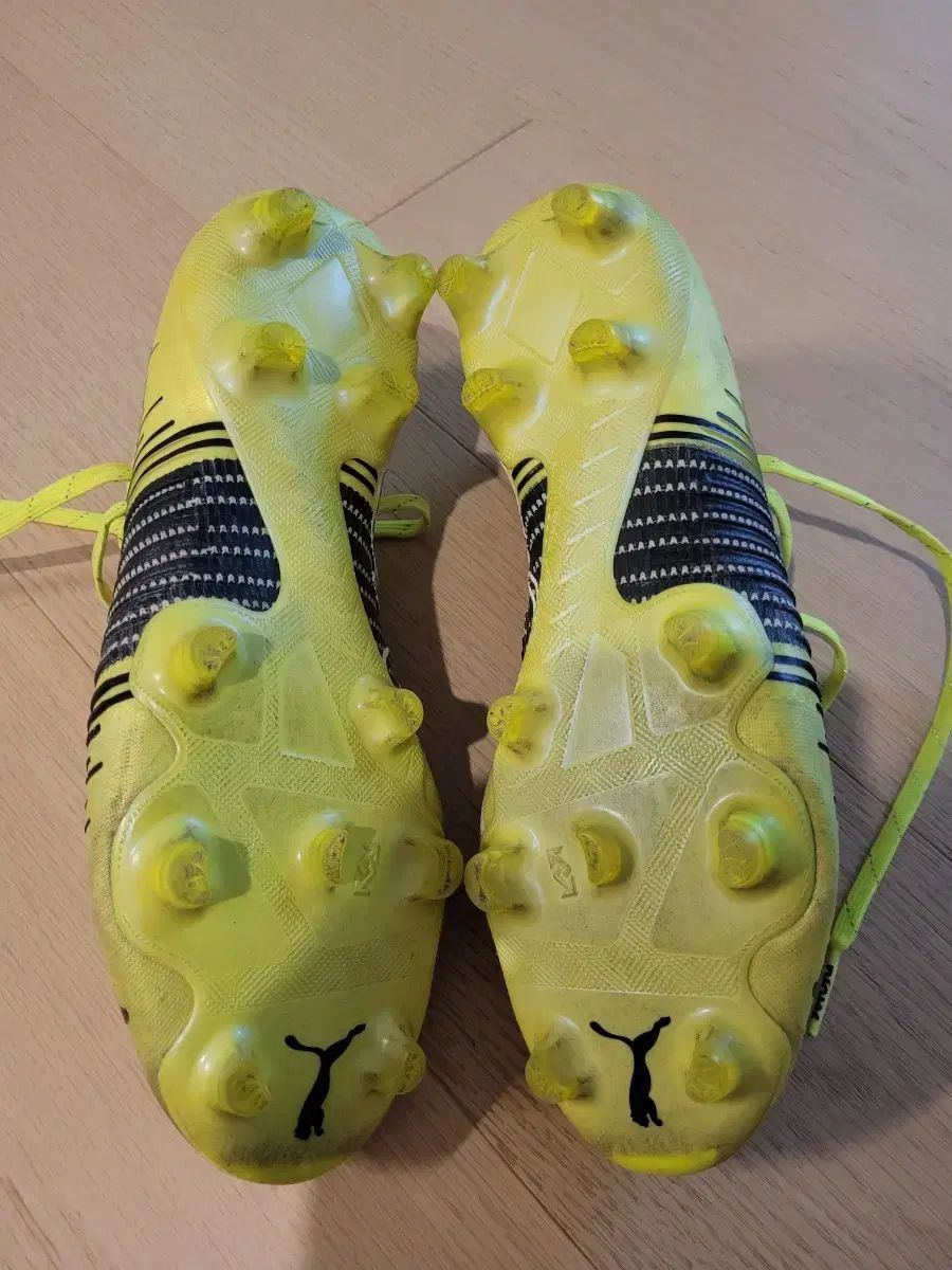 PUMA(プーマ) フューチャー Z 1 Fg ／ Ag 【公式通販】