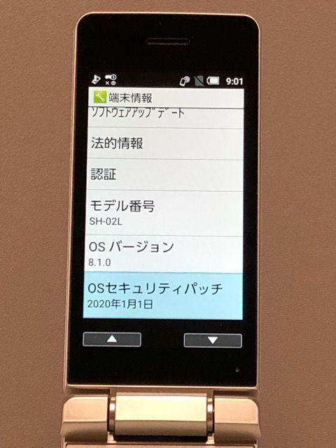 AQUOSケータイ SH-02L ゴールド docomo SIMフリー SIMロック解除