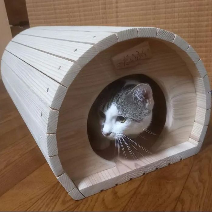 猫トンネルハウス
