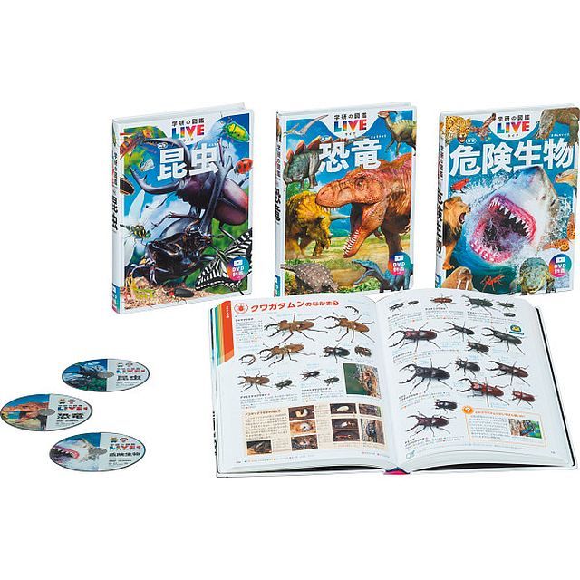 エギマニ 『魅黒/RED』ZERO-G EVOLUTION 800 朱雀II スクマニ エギ