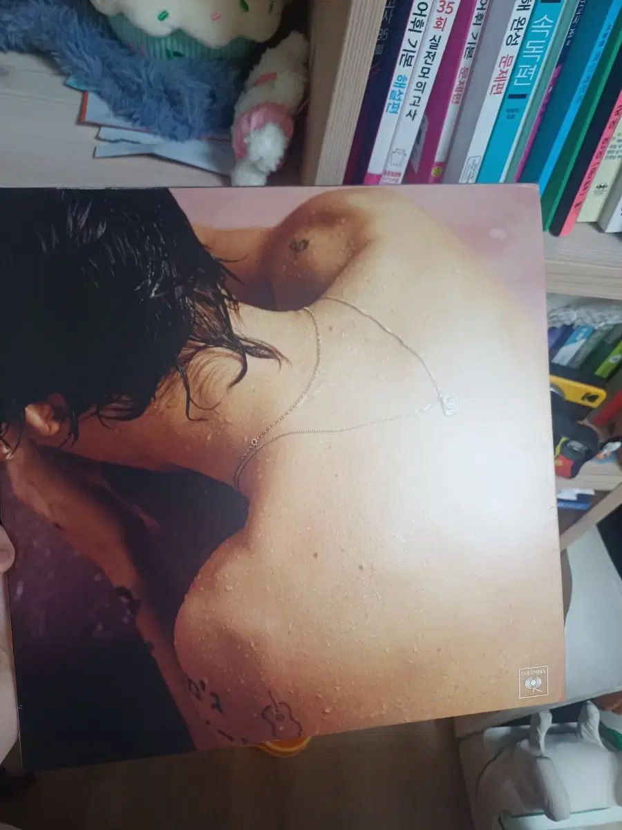 ハリー・スタイルズ(HARRY STYLES) lp