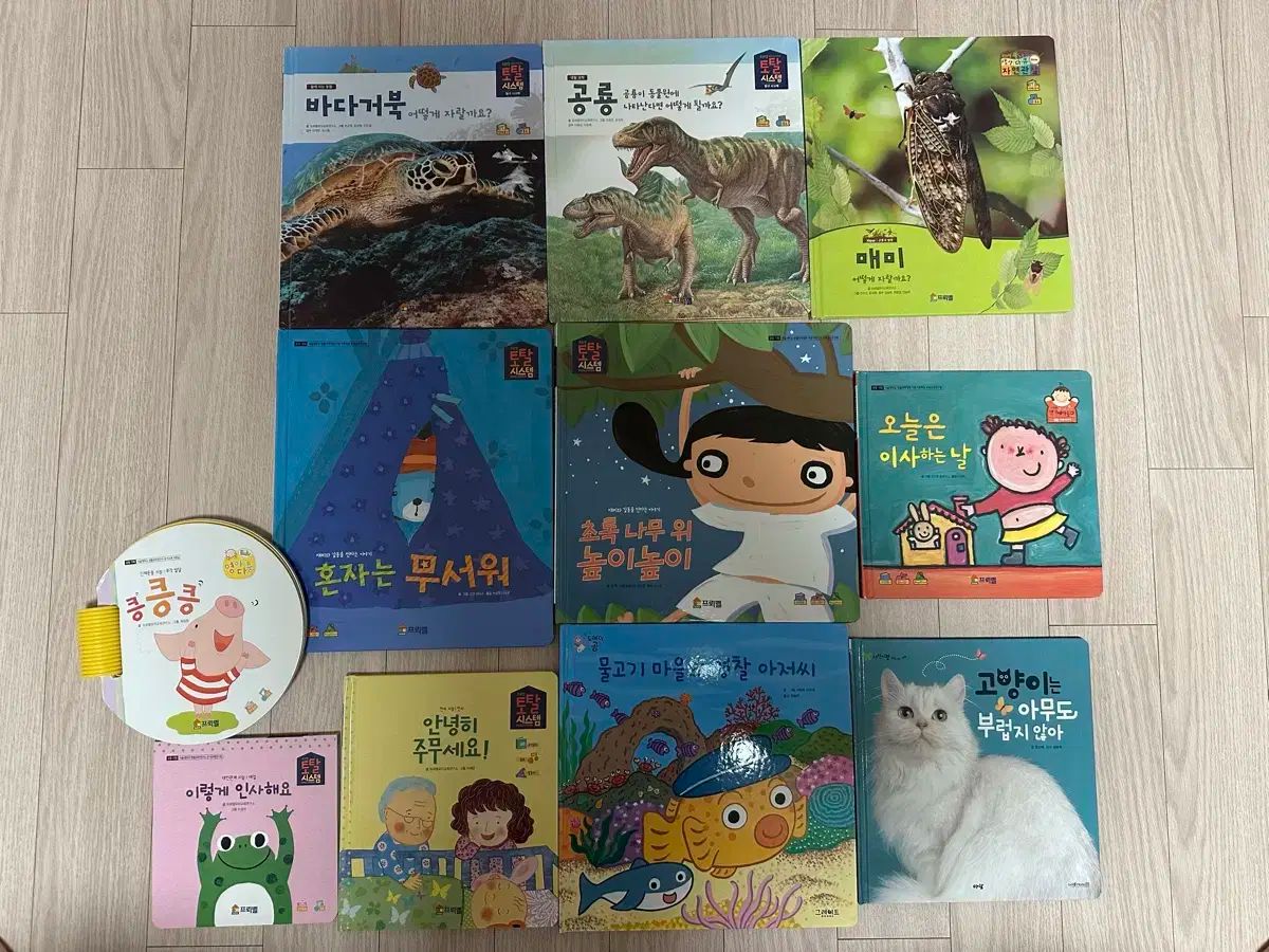 【雷市場（ポンジャン）商品韓国直送】 フレーベル (ヨンダ) 話す 若い 自然観察) 11 ボリューム+サウンド