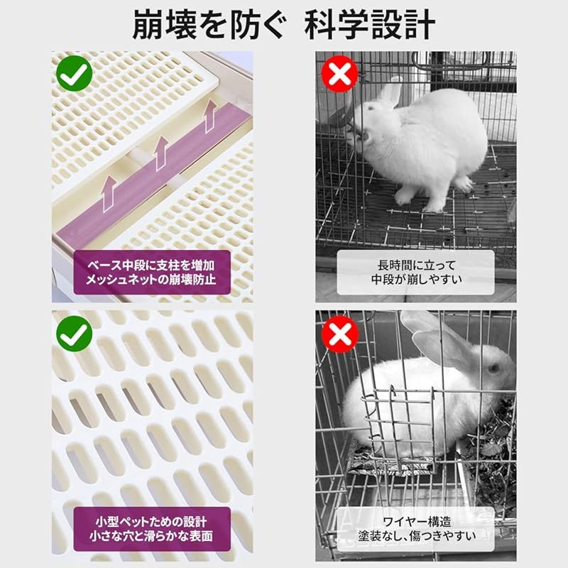いぬ ネコ