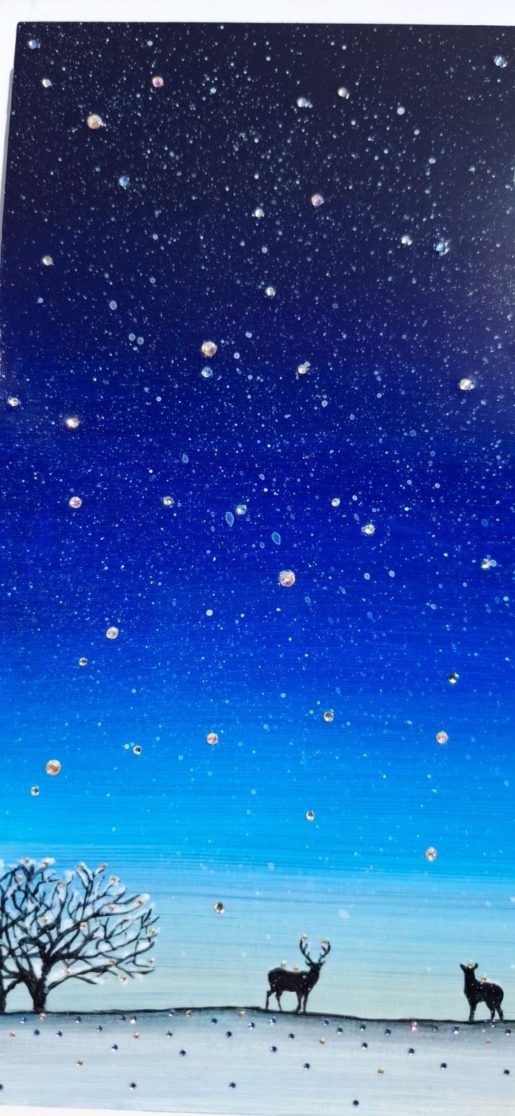 北海道の冬 エゾシカ