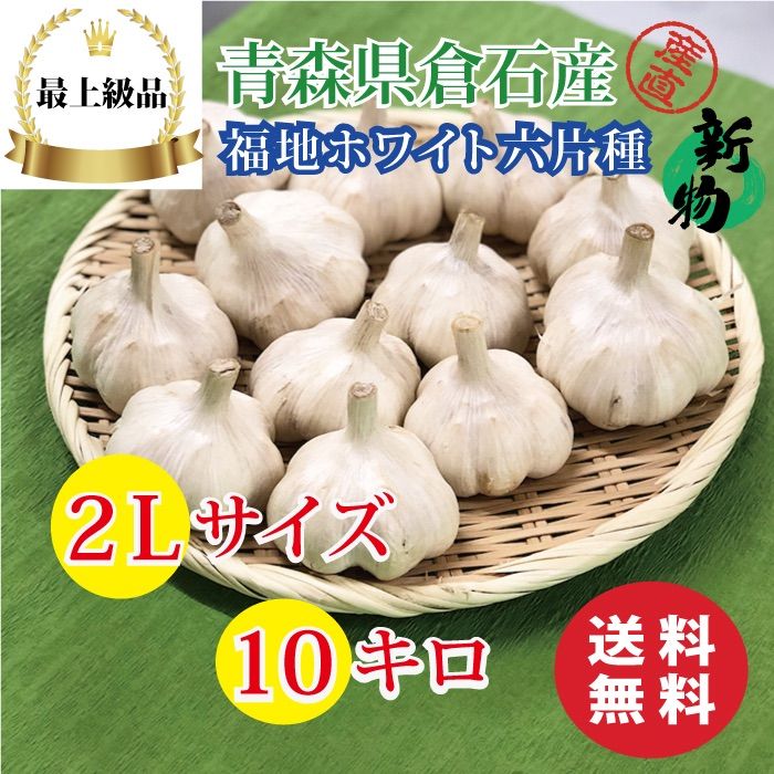 青森県産 福地ホワイト六片 2L 10kg 最初の sandorobotics.com