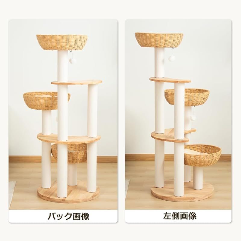 多頭飼い スリム