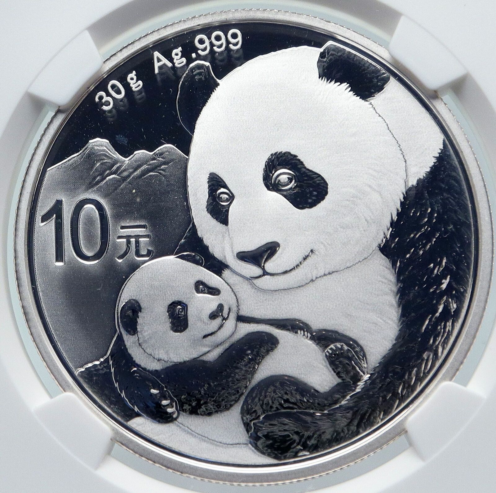 2019 CHINA PANDA MOM w CUB Silver 10 Yuan Chinese Coin NGC MS70 i85716