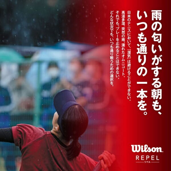 Wilson テニスガット