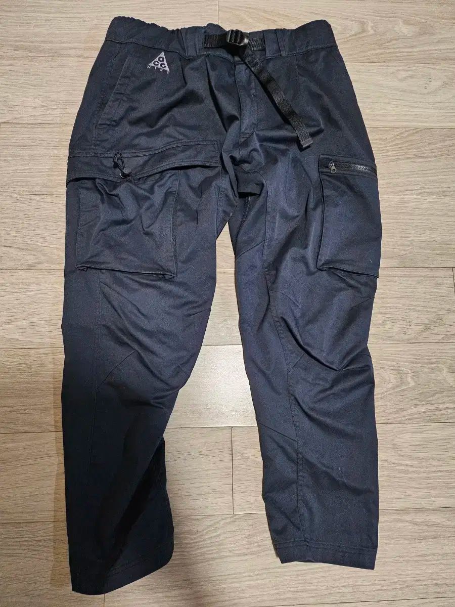 Nike ナイキ ACG ムーンパーティクル 30 周年 ウーブン カーゴ パンツ
