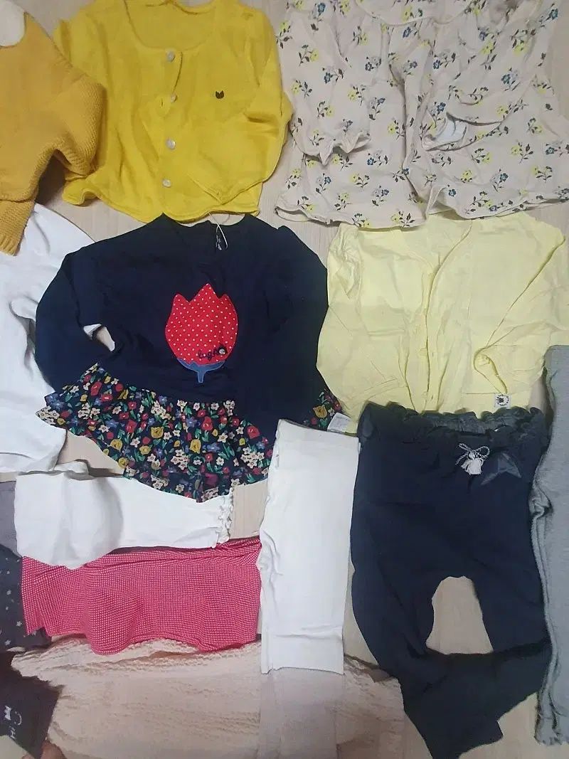 アロアンドルー アルフォンソ