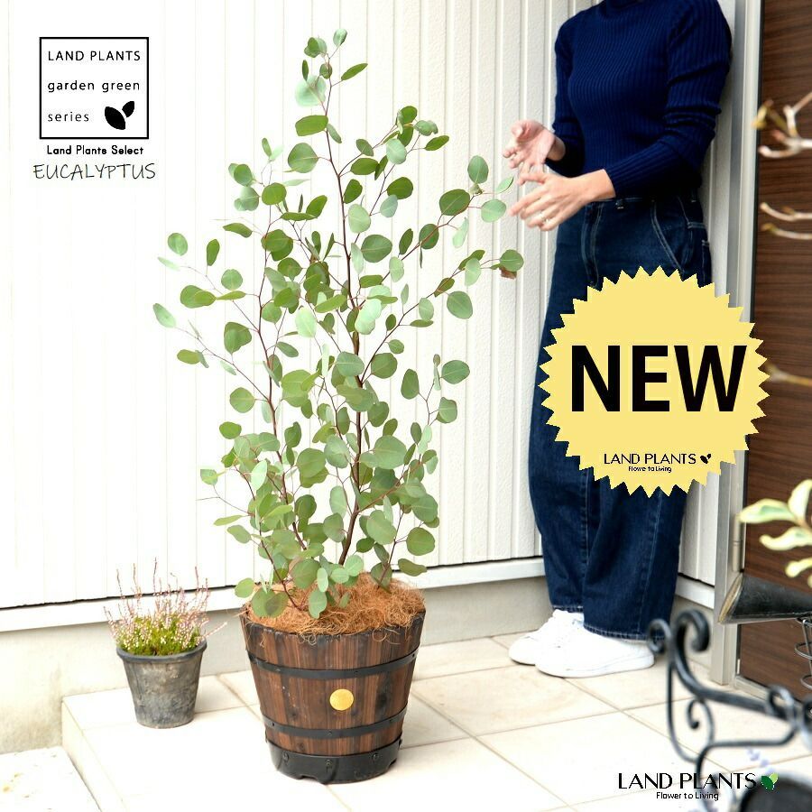 ACTUS購入 プランター＆ウッドスタンドセット モダン鉢カバー ウッド