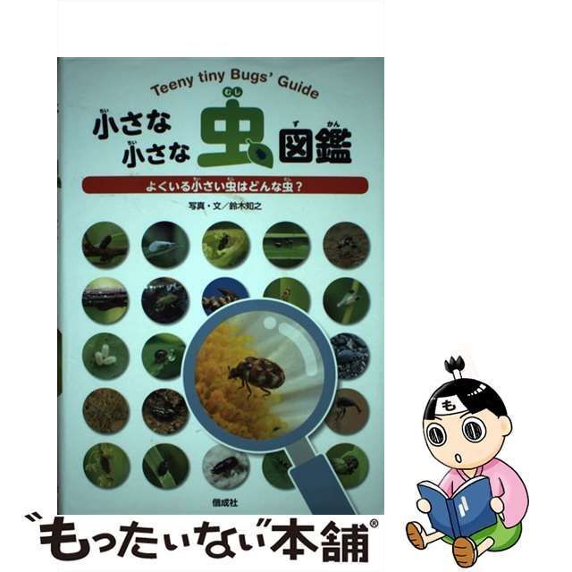 中古】 小さな小さな虫図鑑 ' Guide よくいる小さい虫はどんな虫? / 鈴木知之 / 偕成社 - メルカリ