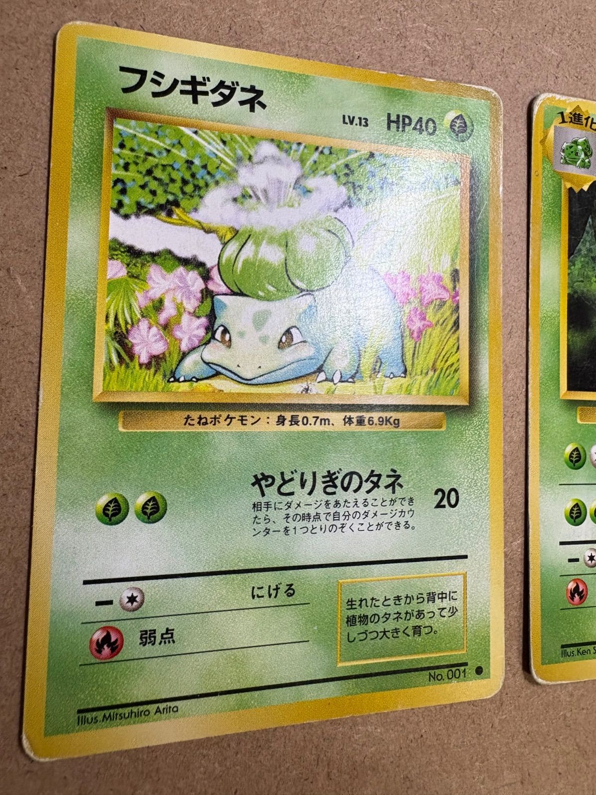 旧裏フシギバナ フシギソウ フシギダネ ポケモンカードセット 進化セット】旧裏 フシギバナ フシギソウ フシギダネ 6枚セット