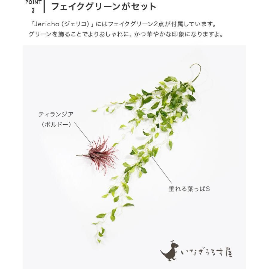 吊り下げ照明 1灯
