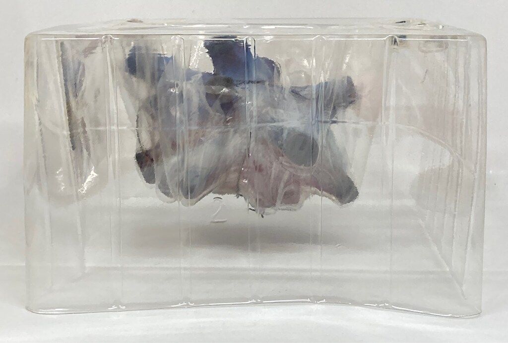 大怪獣シリーズ ブルトン