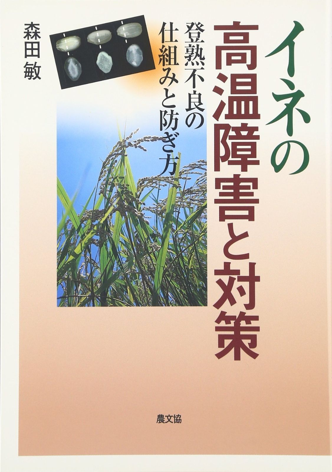 イネの高温障害と対策: 登熟不良の仕組みと防ぎ方