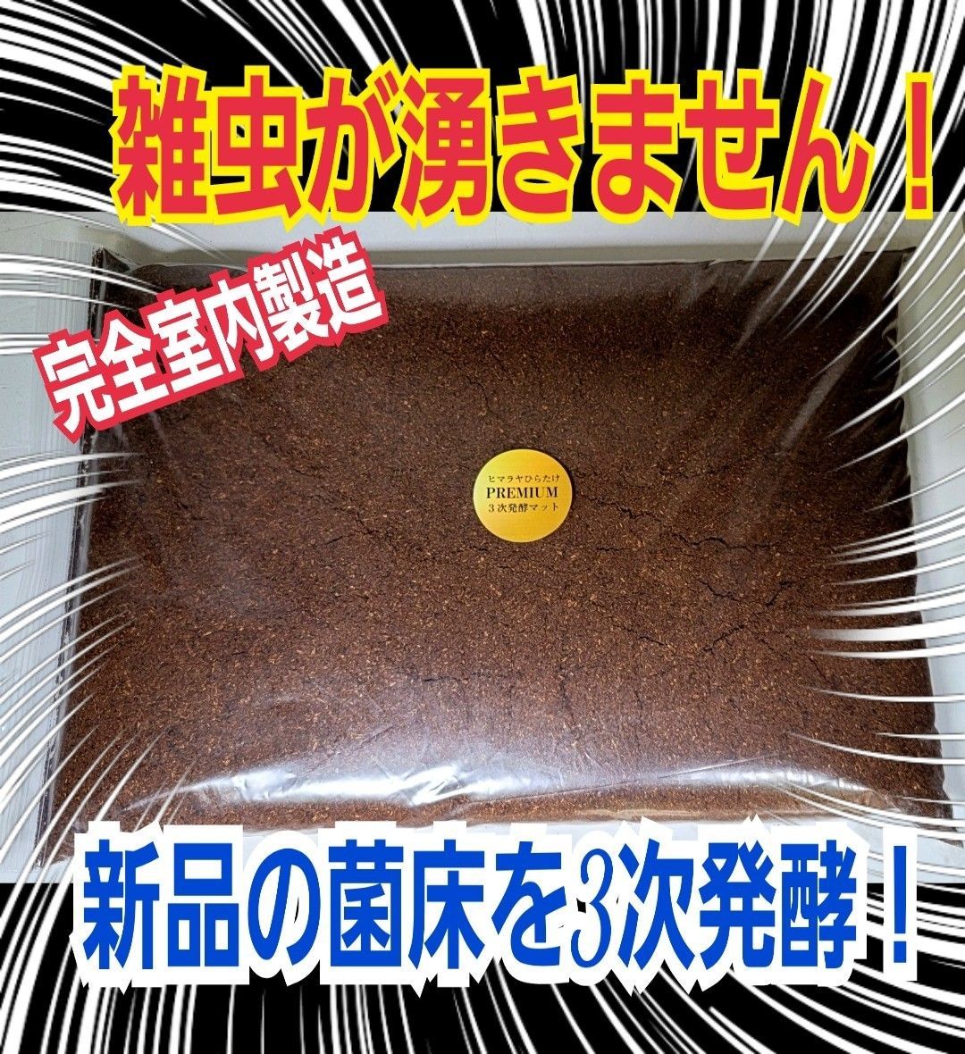 増量300リットル！デカクなりすぎ注意！ヒマラヤひらたけ発酵マット　産卵にも！ 増量300リットル！デカクなりすぎ注意！ヒマラヤひらたけ発酵