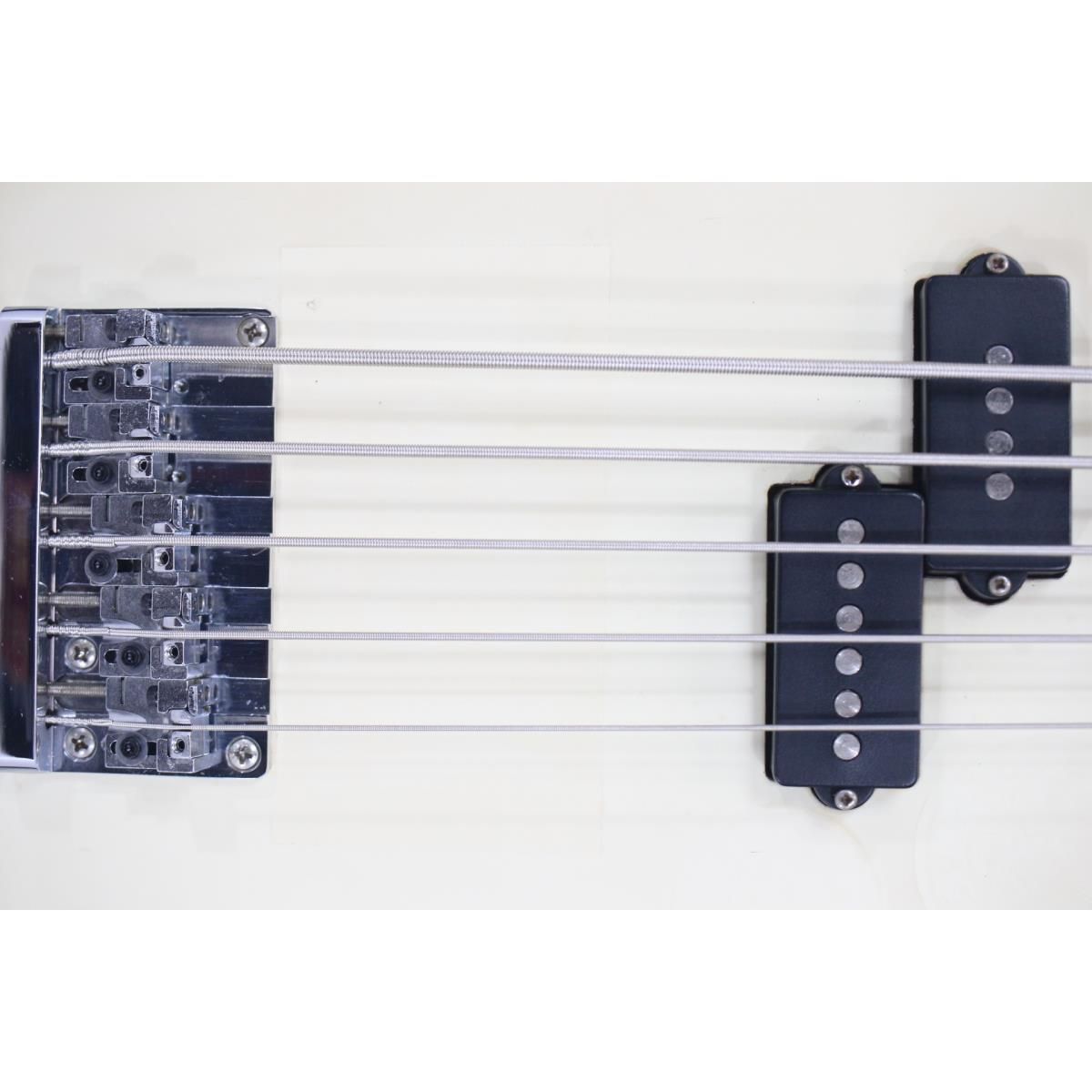 ＦＥＮＤＥＲ