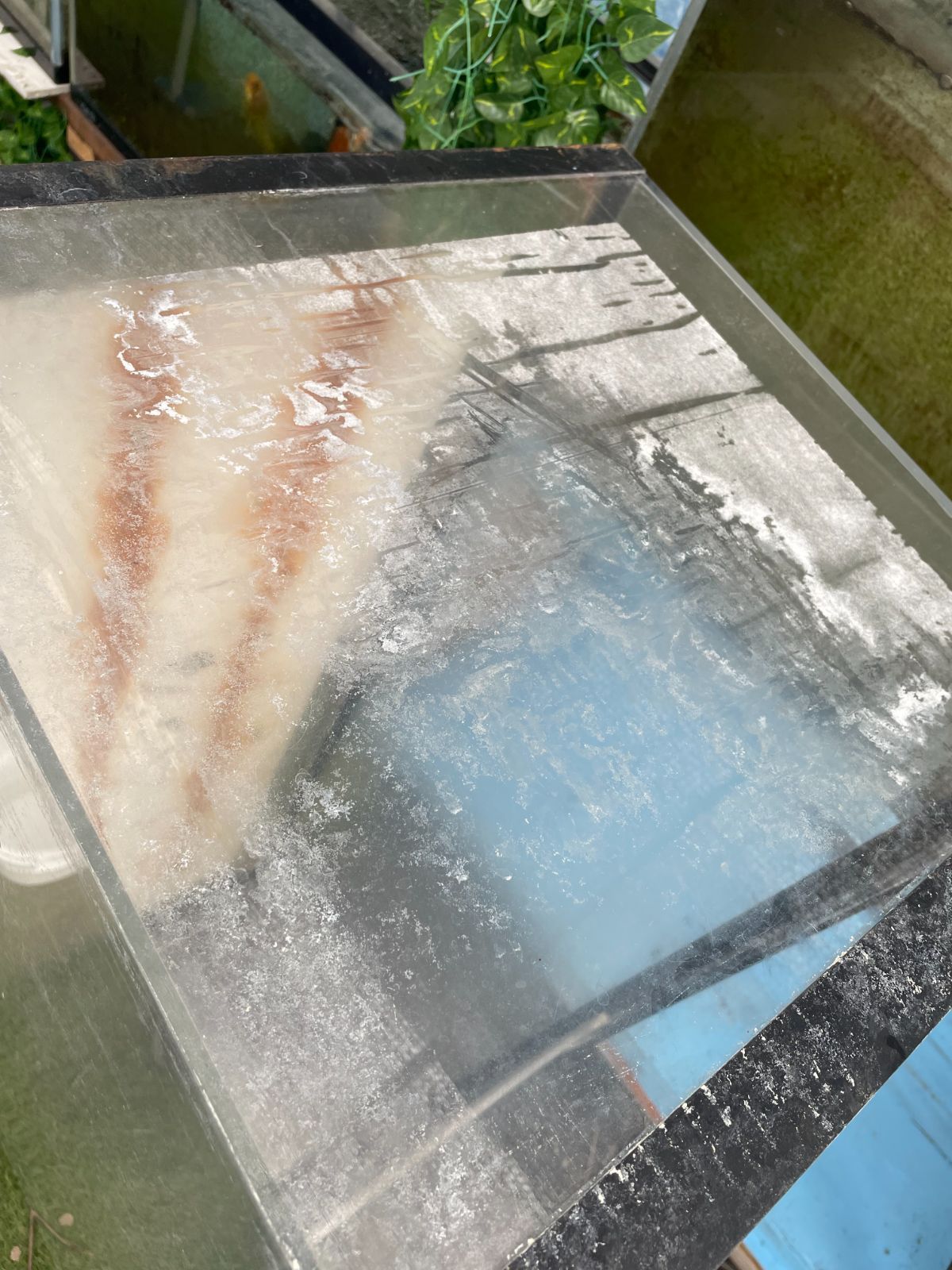 引取り 大型アクリル水槽 120CM水槽