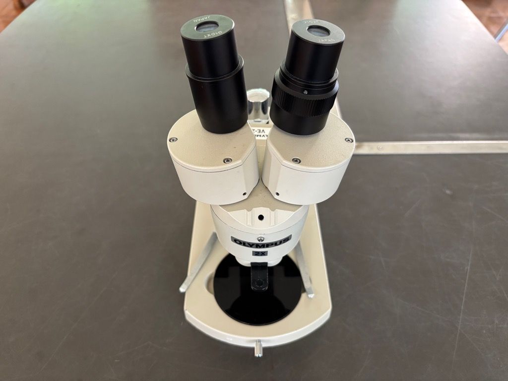 双眼実体顕微鏡 OLYMPUS