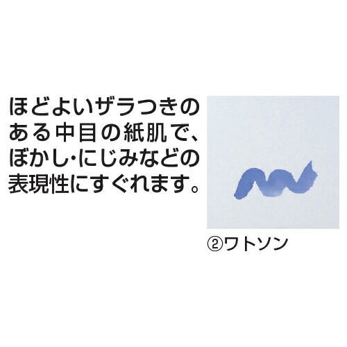  水彩紙 2 ワトソン４ツ切り EDP NW 4 K ミューズ 画用紙 水彩用紙 画用紙 画材紙 工作紙