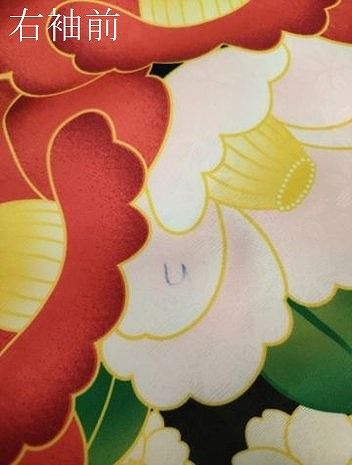 洗える着物 DAAY1015ps