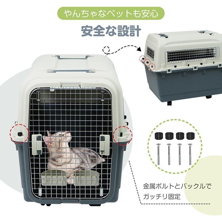 お出かけ