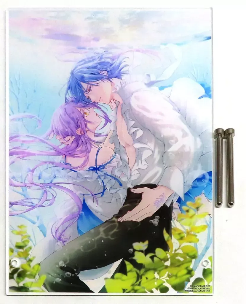 2025年最新】悪役令嬢は溺愛ルートに入りました アクリルパネルの人気