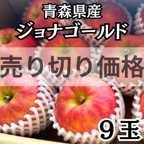 残りわずか！りんご 果物 ジョナゴールド 厳選9玉 青森県産