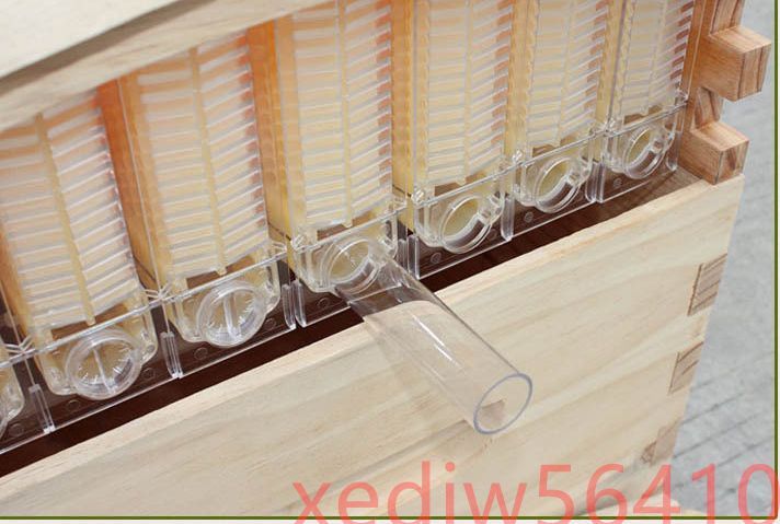 ミツバチの採蜜 巣礎