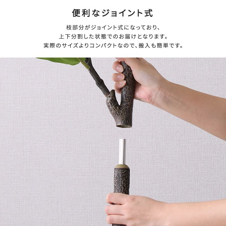 Sサイズ
