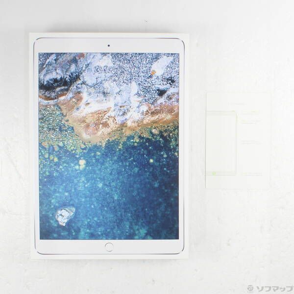 iPad Pro 10.5インチ シルバー64GB Apple iPad Pro 10.5インチ Wi-Fi 64GB MQDT2J/A [スペースグレイ