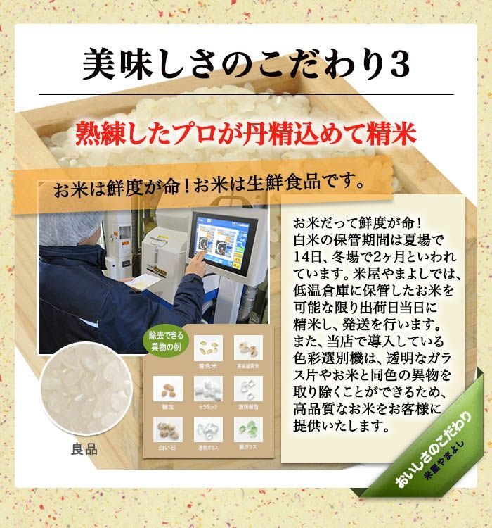 白米 10kg