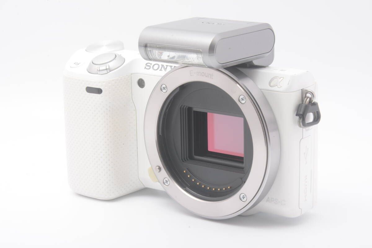 Amazon.com : Sony NEX-5N 16.1 MP Compact Interchangeable